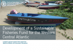 Development of a Sustainable Fisheries Fund for the Western Central Atlantic - A stepwise approach prepared with support from Wilderness Markets and Conservation International 