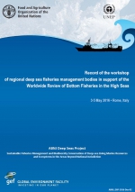 Record of the workshop of regional deep sea fisheries management bodies in support of the worldwide review of bottom fisheries in the high seas - 3-5 May 2016, Rome, Italy