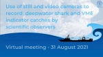 Use of still and video cameras to record deepwater shark and VME indicator catches by scientific observers - video playlist