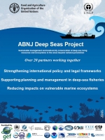 The Common Oceans ABNJ Deep Seas Project
