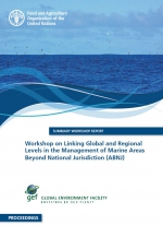 Proceedings of the Workshop on Linking Global and Regional Levels in the Management of Marine Areas beyond National Jurisdiction (ABNJ)