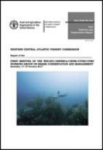 Report of the First meeting of the WECAFC/OSPESCA/CRFM/CITES/CFMC working group on shark conservation and management, Bridgetown, Barbados, 17-19 October 2017