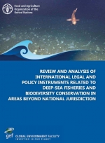 Review and analysis of international legal and policy instruments related to deep-sea fisheries and biodiversity conservation in areas beyond national jurisdiction