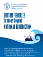 Bottom Fisheries in Areas Beyond National Jurisdiction