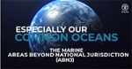 Not a drop in the ocean – key successes by the Common Oceans ABNJ Program