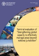 Terminal evaluation of “Strengthening global capacity to effectively manage areas beyond national jurisdiction”