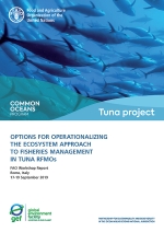 Workshop on options for operationalizing the ecosystem approach to fisheries management in tuna RFMO’s