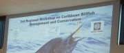 Seeking the regional management of Caribbean billfish resources: a step closer to sustainability