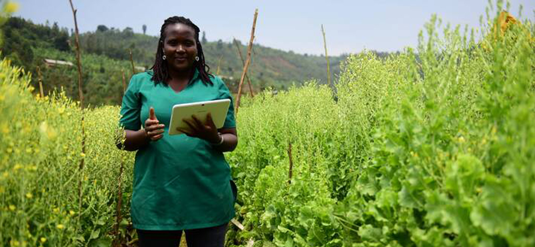 ©FAO/Teopista Mutesi 