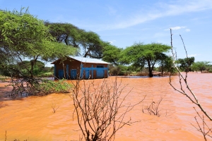 ©FAO/Michael Tewelde