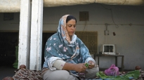 Action to support implementation of Codex AMR (ACT) | FAO in Pakistan ...