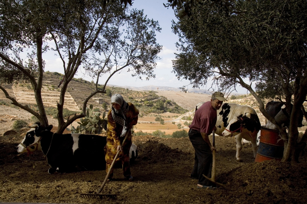 FAO/Kai Wiedenhoefer