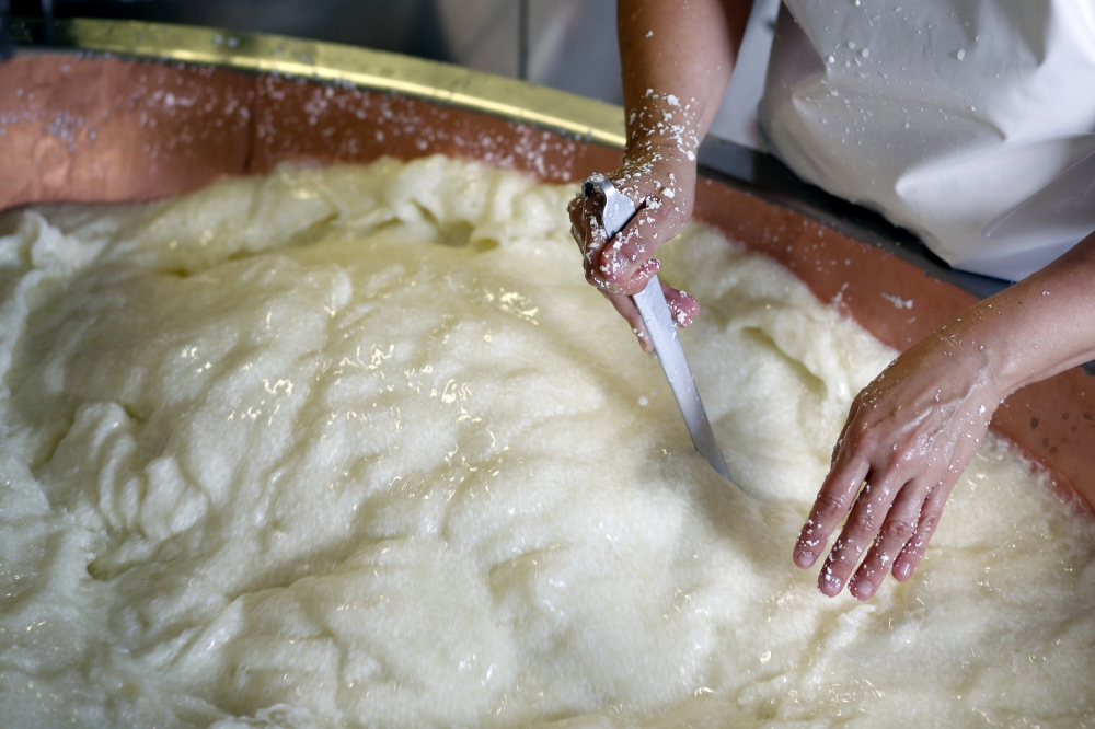 ©FAO/Alessia Pierdomenico