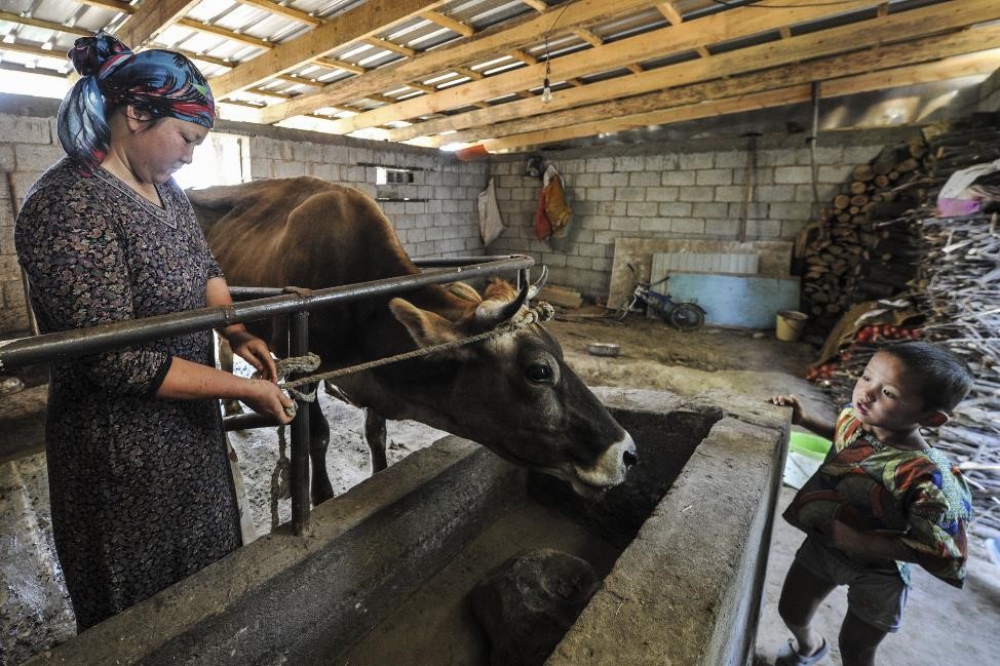 FAO/Vyacheslav Oseledko