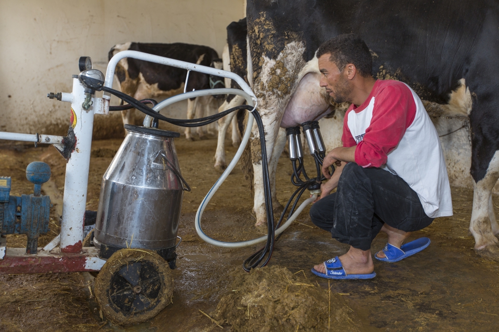 ©FAO/Sebastián Villar