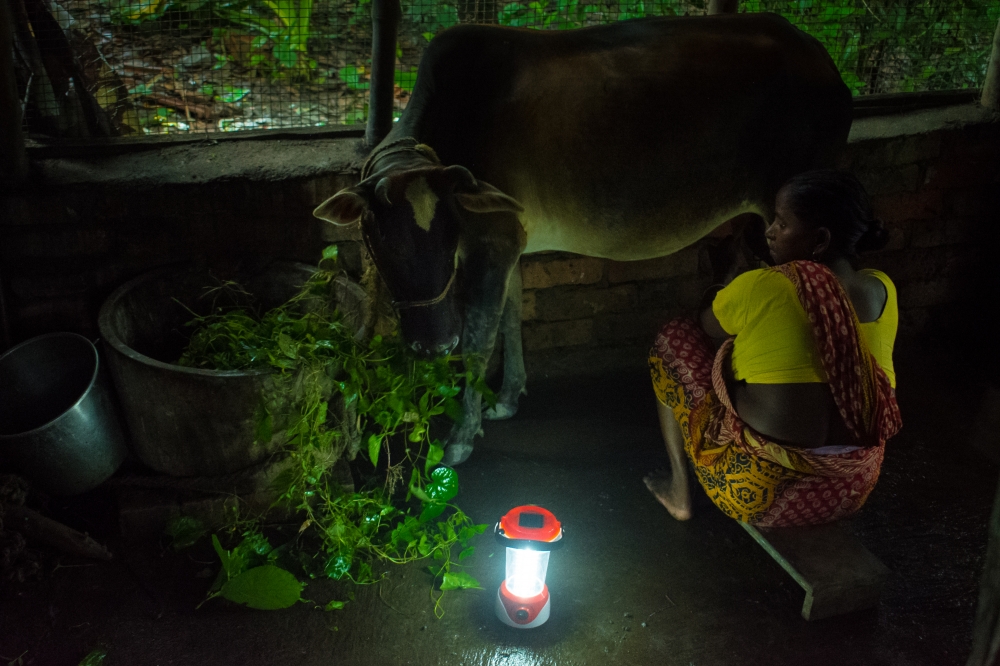 Arpan Basu Chowdhury