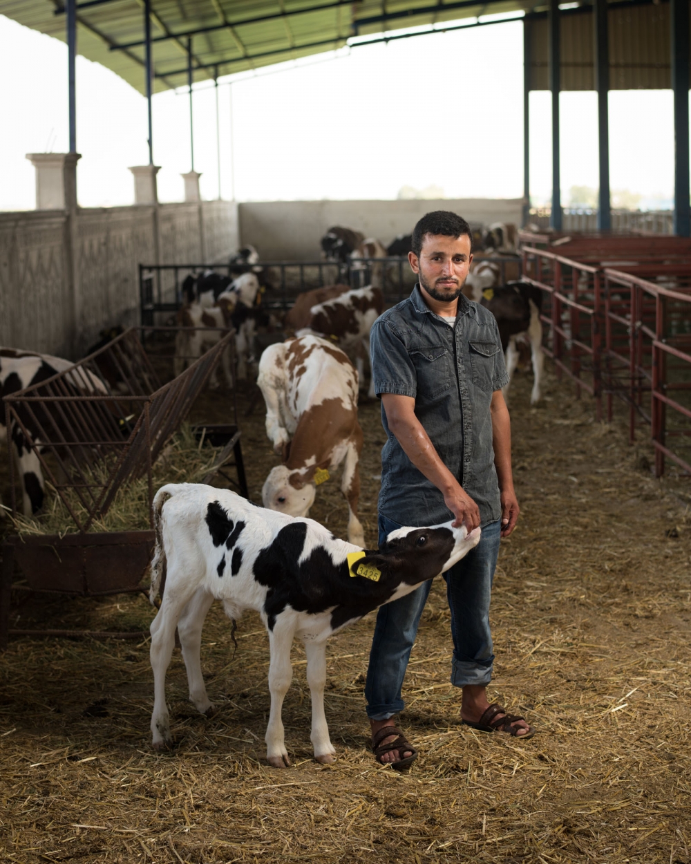 Robin Hammond/NOOR for FAO / FAO