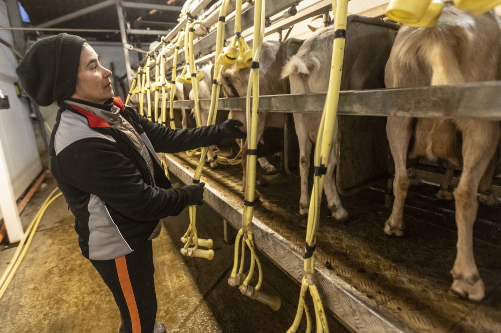  © FAO/Riccardo De Luca