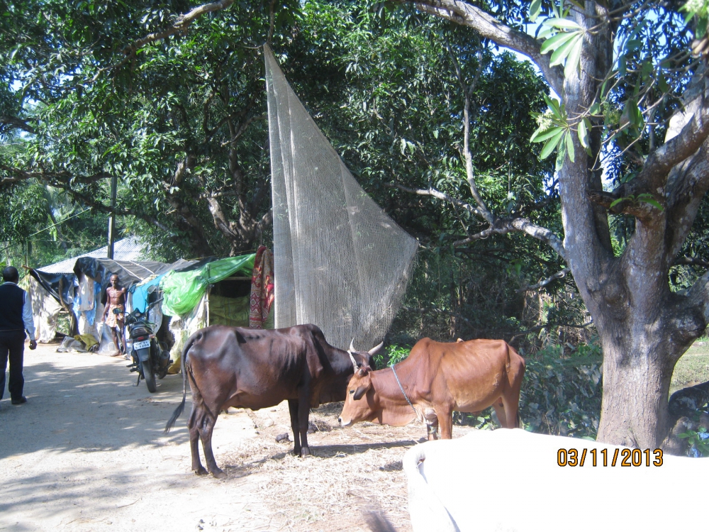 Samir Kumar Sahu, www.mbrindia.org