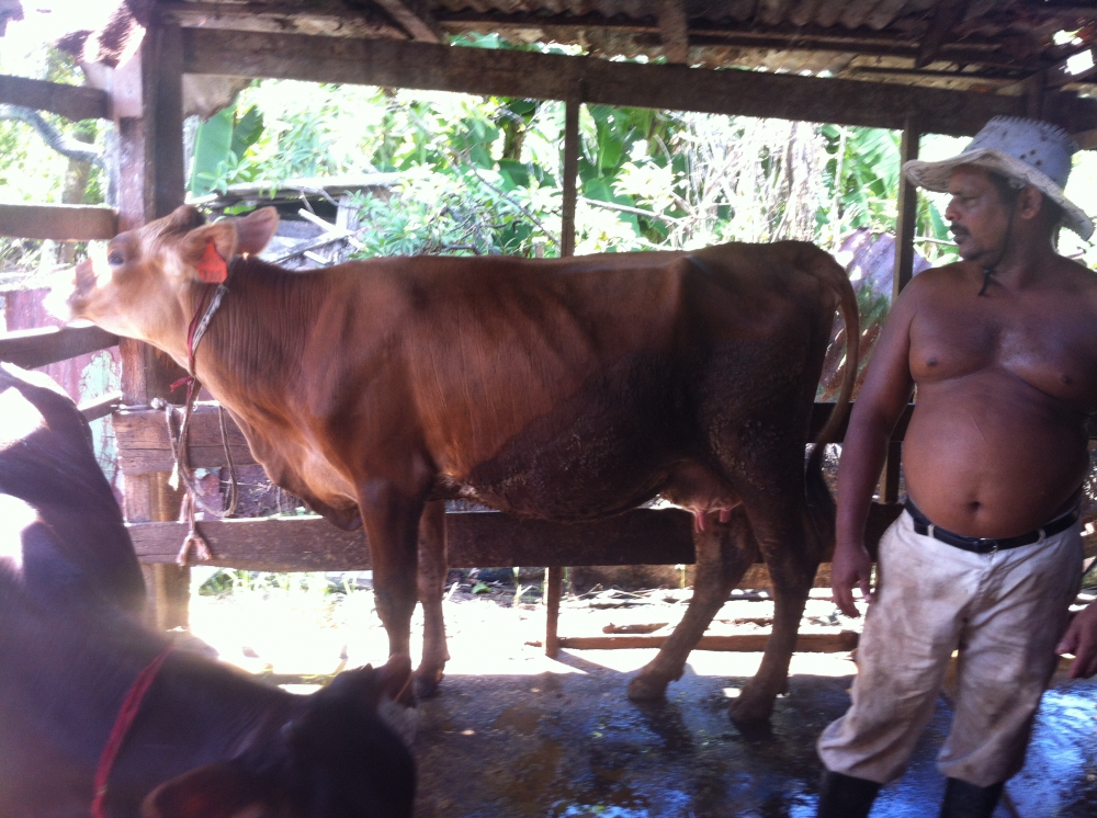 Baldomero Molina Flores