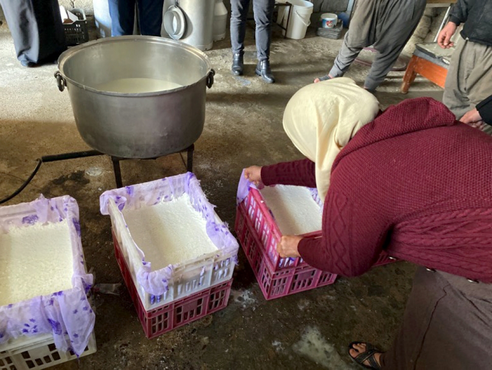 ©FAO/Chedly Kayouli
