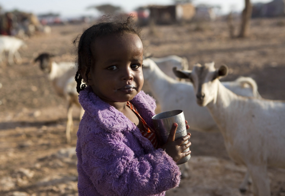 ©FAO/Karel Prinsloo