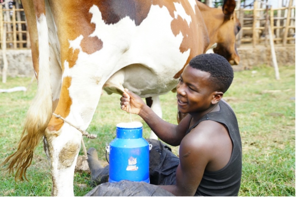 ©Kayitare Alexandre