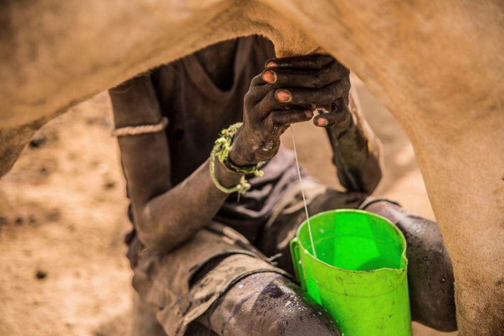 ©FAO/Stefanie Glinski