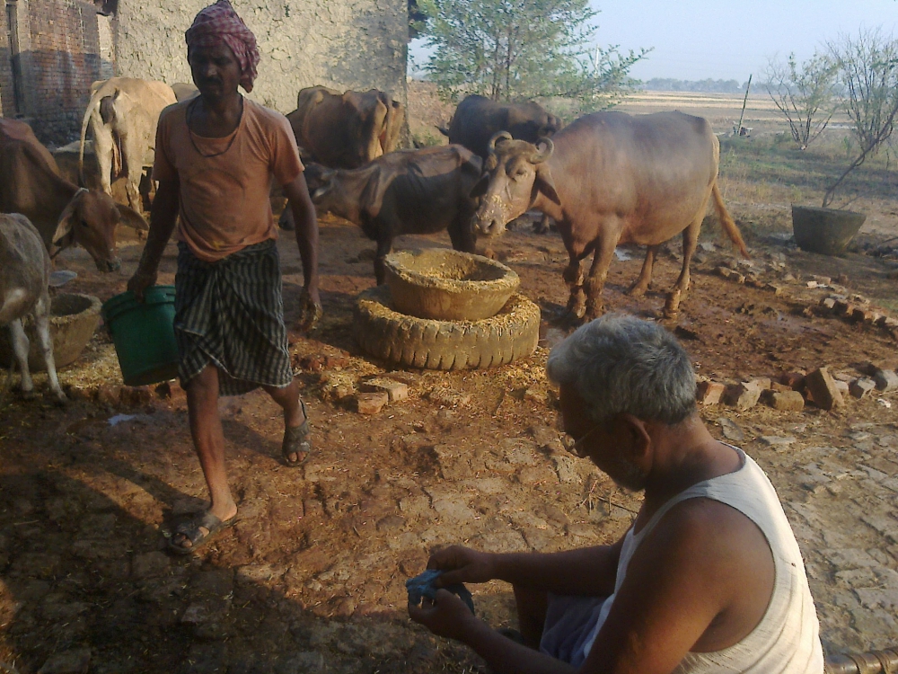 Nageshwar Patel