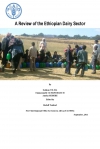 A review of the Ethiopian dairy sector