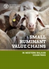  Small ruminant value chains in Western Balkan countries