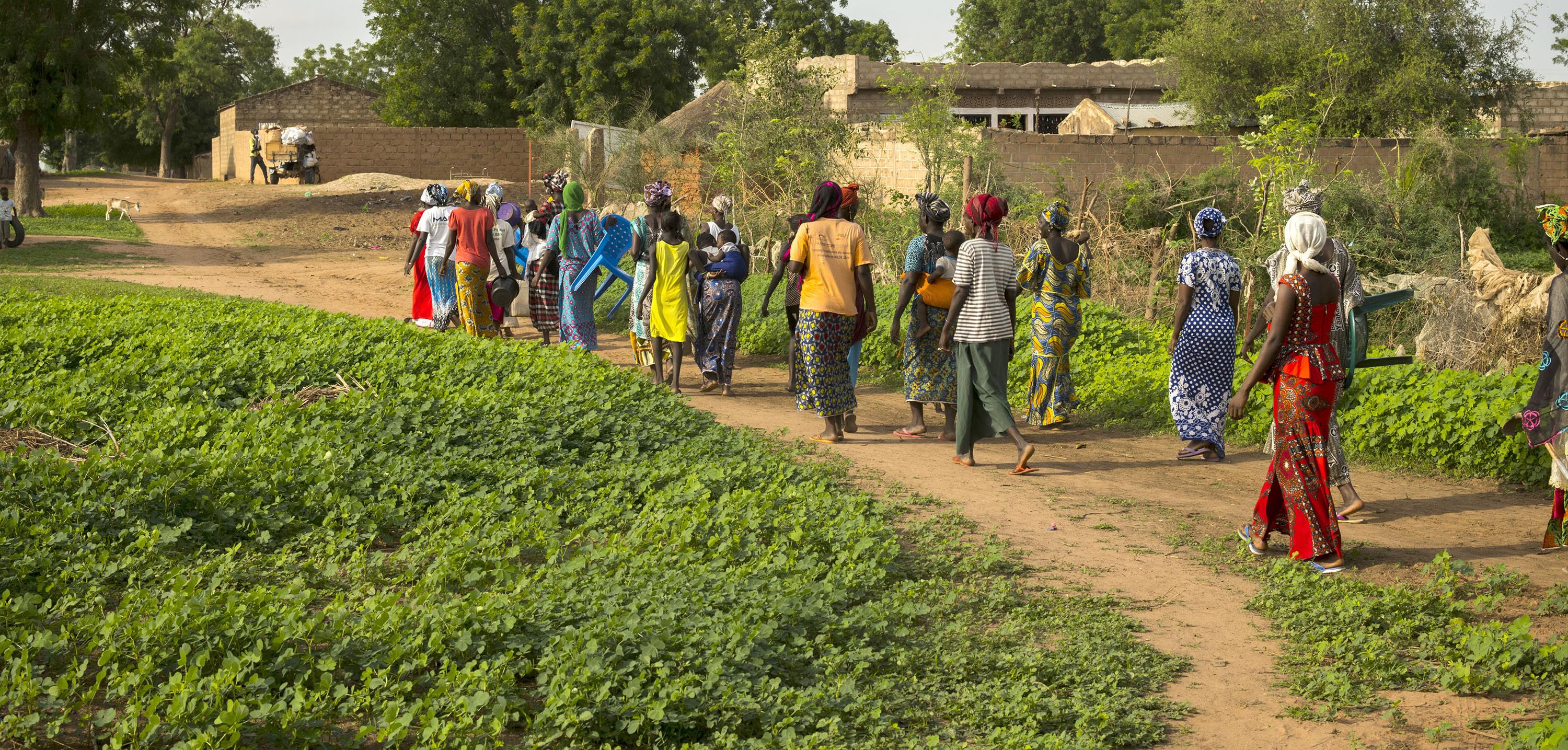 Migrants boost rural development in Senegal Decent Rural Employment