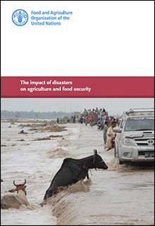 The impact of disasters on agriculture and food security