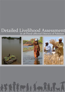 Detailed Livelihood Assessment in 28 Flood-affected Districts of Pakistan