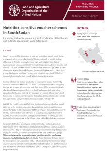 Nutrition-sensitive voucher schemes in South Sudan
