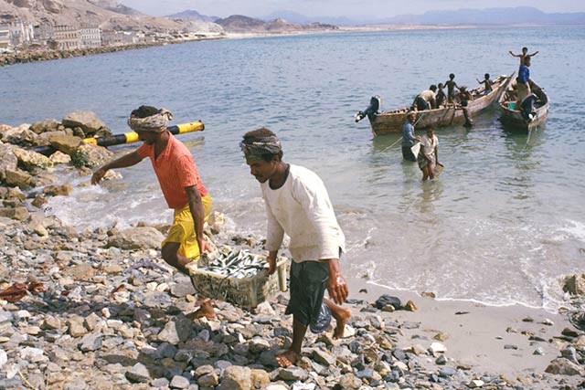 Une mission d'enquête au Yémen révèle l'ampleur des dégâts dus au tsunami