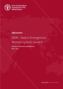 Afghanistan: DIEM – Data in Emergencies Monitoring brief, round 4