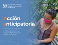 Anticipatory action | An effective approach to reduce the risk and mitigate the impact of disasters in agriculture (IN SPANISH)