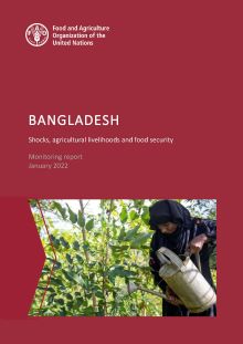 Bangladesh | Shocks, agricultural livelihoods and food security