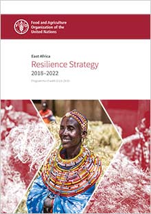 East Africa Resilience Strategy 2018-2022