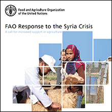 FAO Response to the Syria Crisis 2015