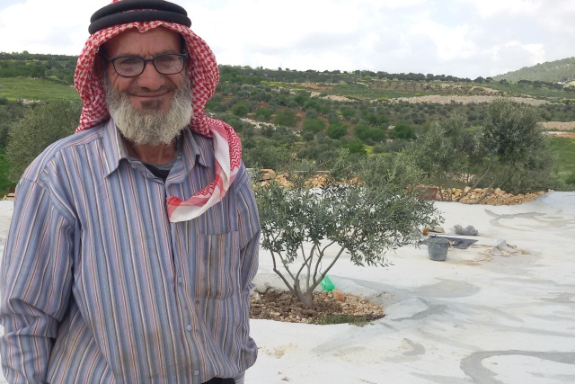 Conditional cash assistance to build resilience against water scarcity in the West Bank