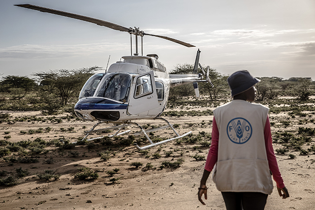 An helicopter operated by joined collaboration between FAO Kenya and Government of Kenya lands while tracing hopper bands of locust in a remote area in Turkana County, Kenya.  ©FAO/Luis Tato / FAO