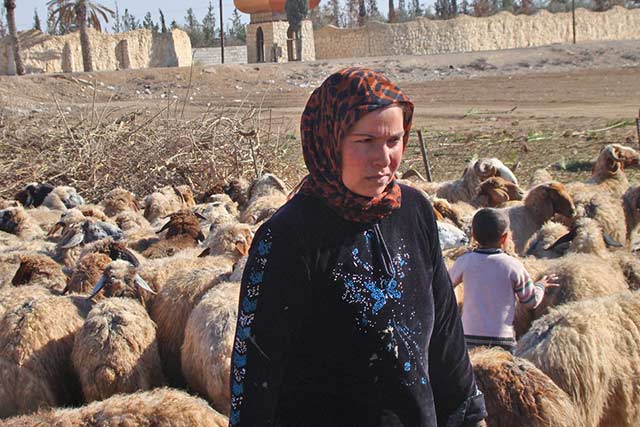 Siria: las lluvias abundantes favorecen la producción de trigo, pero la seguridad alimentaria continúa siendo precaria