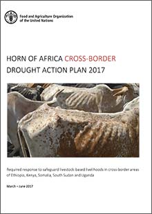 Horn of Africa cross-border drought action plan 2017
