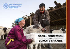 Social protection and climate change