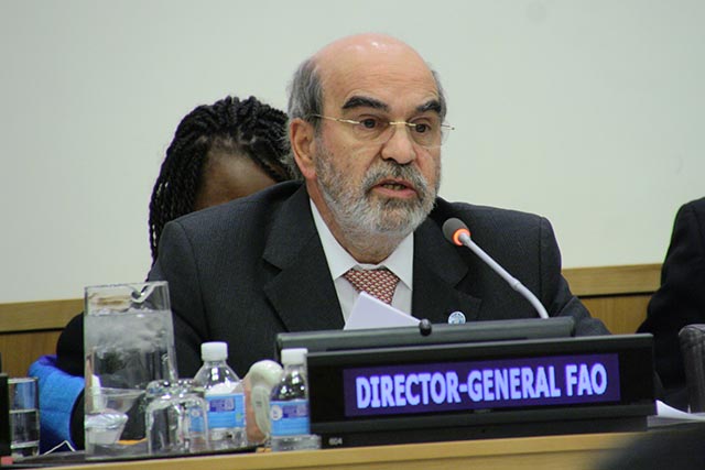 Le Directeur général de la FAO met l’accent sur le rôle de l’alimentation et l’agriculture en période de conflit au Conseil de sécurité de l’ONU