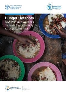 Hunger Hotspots: FAO-WFP early warnings on acute food insecurity (June to September 2022 Outlook)