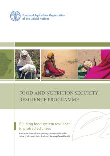 Food and Nutrition Security Resilience Programme: Report of the multidisciplinary context and fodder value chain analysis in Sool and Sanaag (Somaliland)
