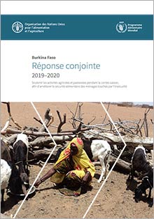 Burkina Faso 2019-2020 Joint Response (in FRENCH)